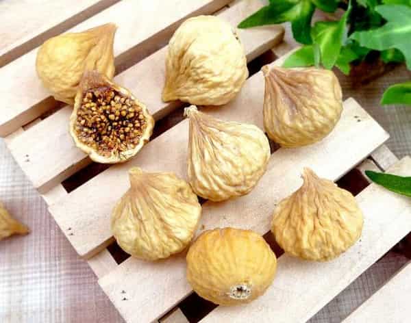 خرید و قیمت انجیر خشک نرم + فروش صادراتی